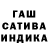 Конопля сатива duc nong